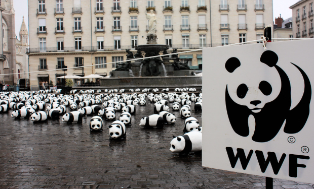 Ambiente: il WWF invita Salvini a documentarsi